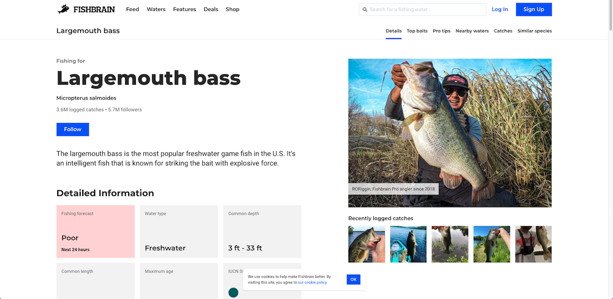 The Largemouth Bass page on fishbrain.com
