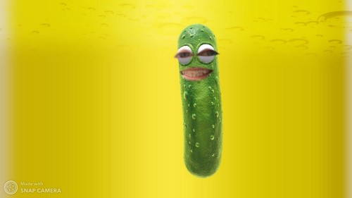 Me, as a pickle. Taken using the Snap Camera.