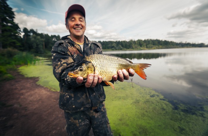 A common carp — with 73% accuracy.